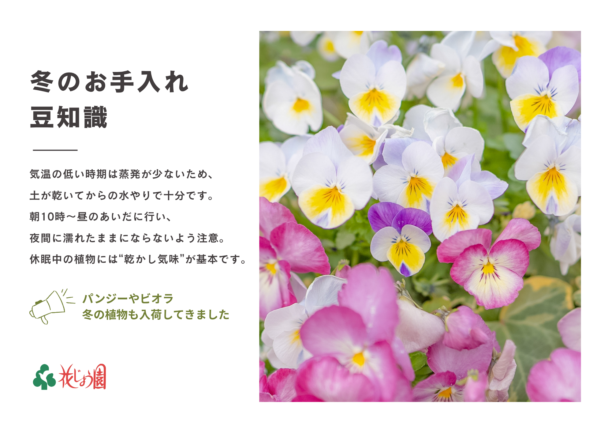 冬のお手入れ豆知識